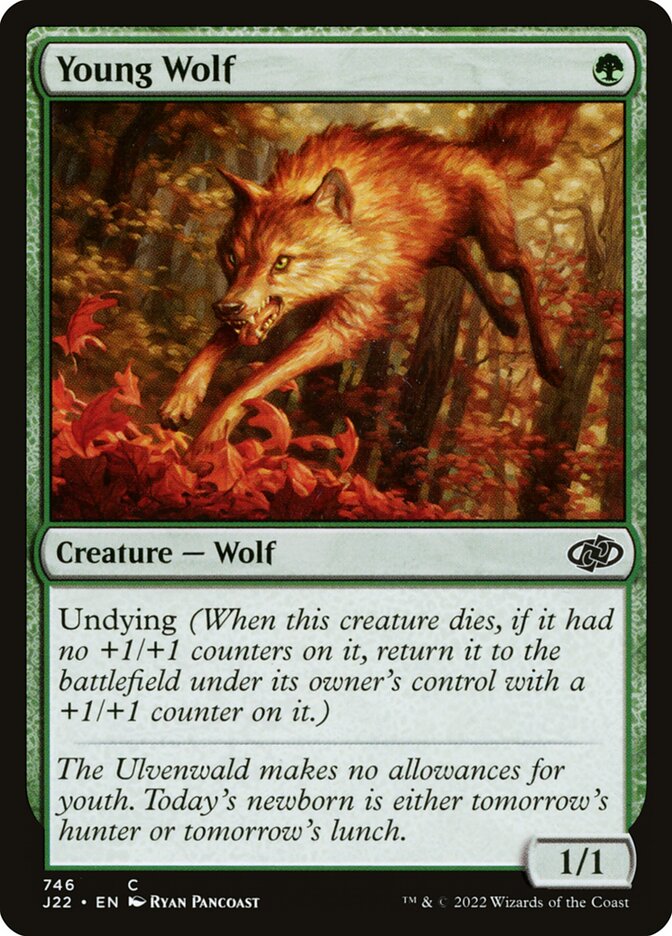 Young Wolf – Jumpstart 2022 [J22] – English – #746