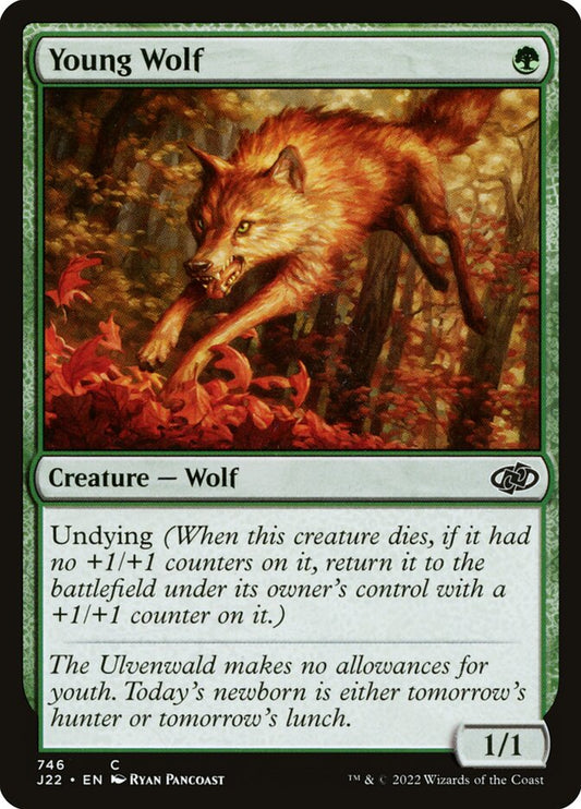 Young Wolf – Jumpstart 2022 [J22] – English – #746