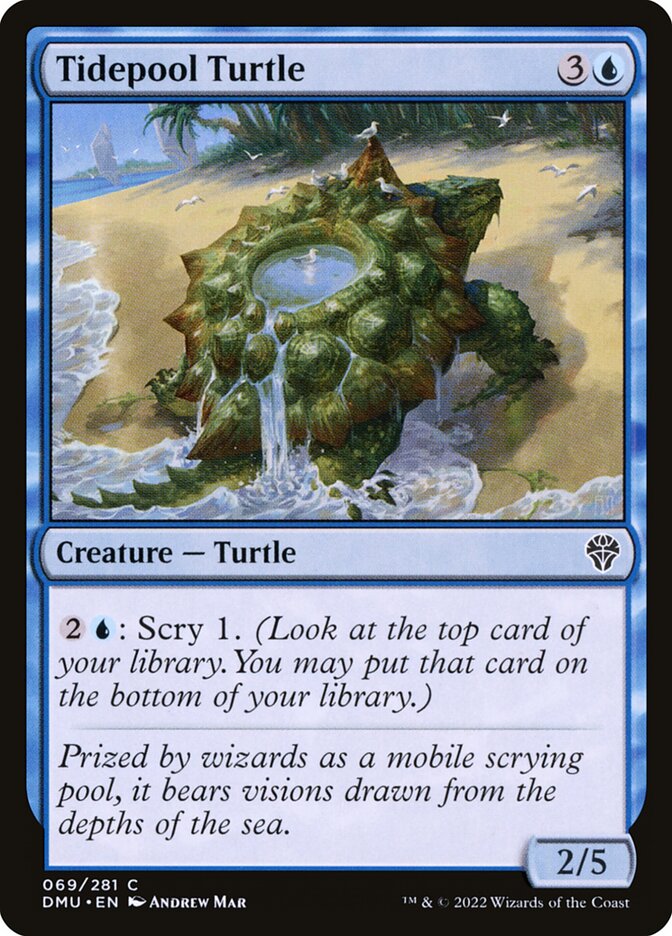 Tidepool Turtle – Dominaria United [DMU] – D – #69
