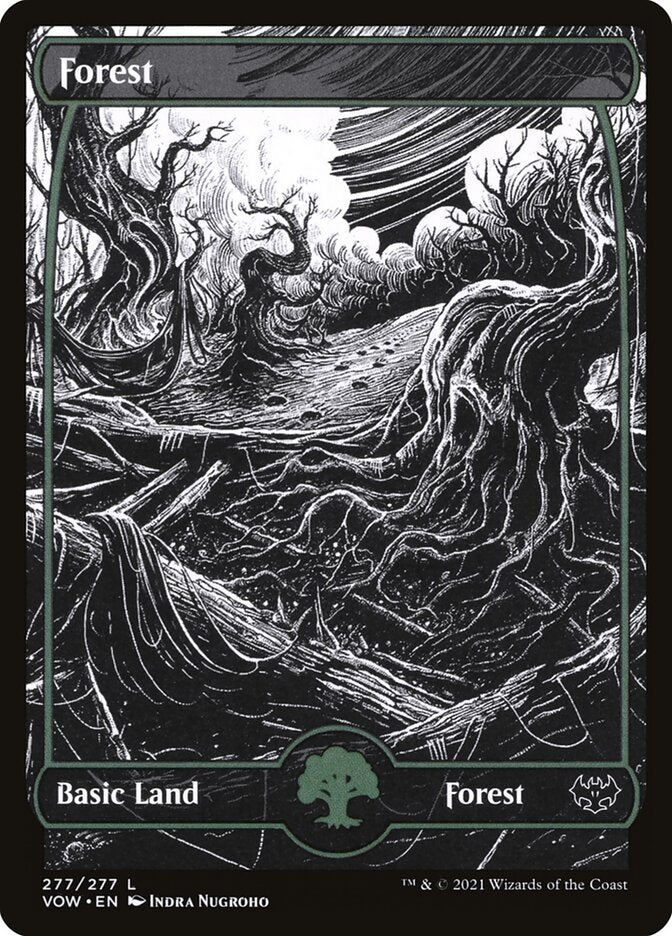 Forest – Innistrad: Crimson Vow [VOW] – English – #277