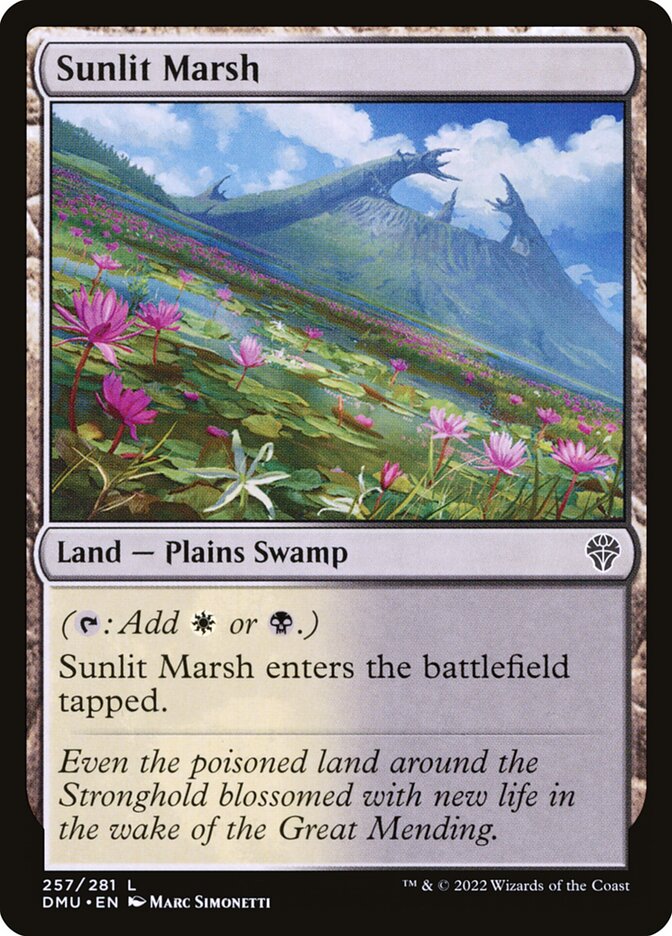 Sunlit Marsh – Dominaria United [DMU] – English – #257