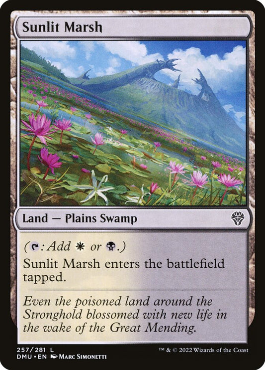 Sunlit Marsh – Dominaria United [DMU] – English – #257